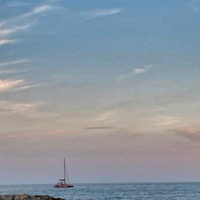 Dans l'Hérault (2024)