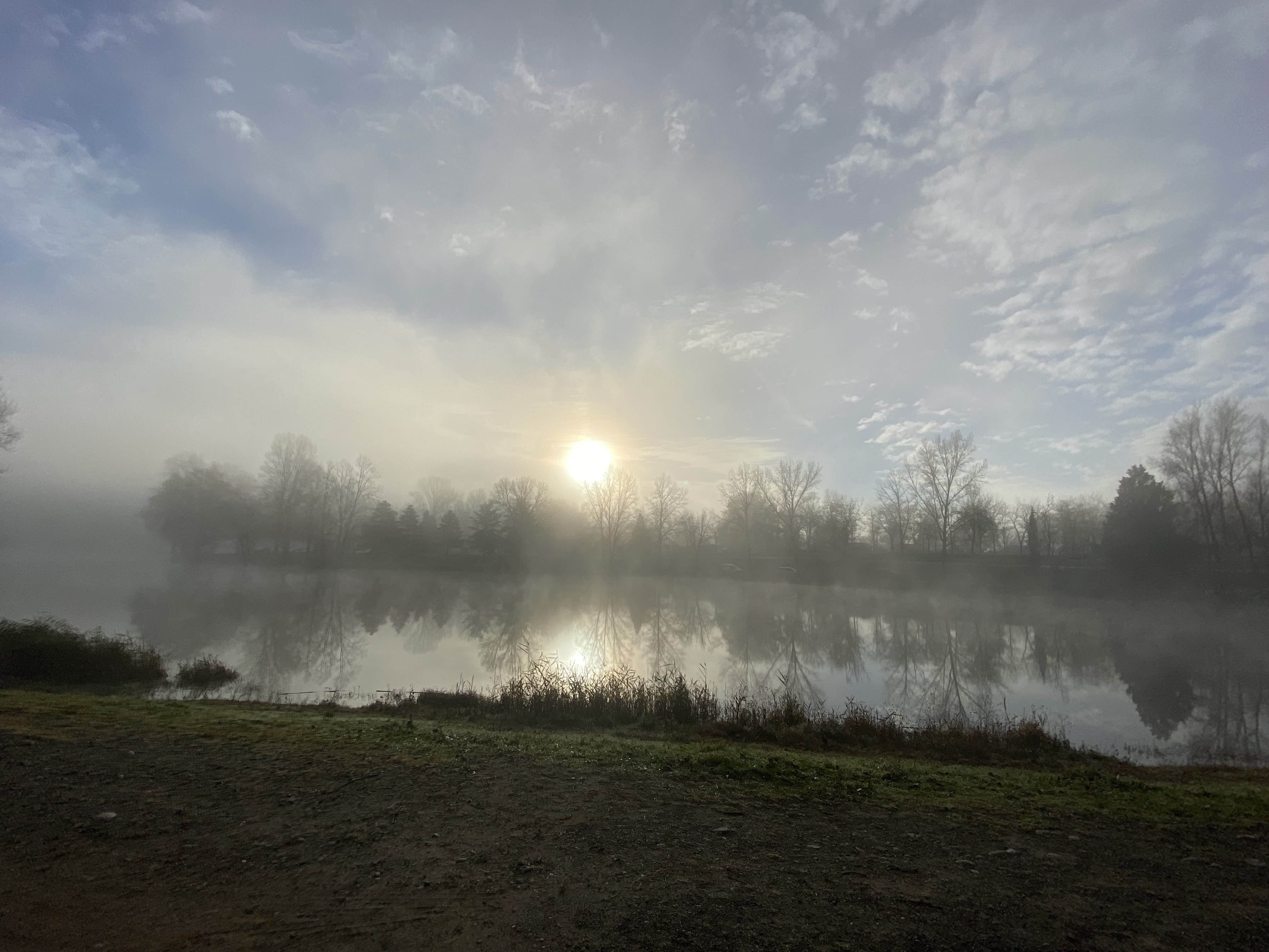 Petit matin, décembre 2024