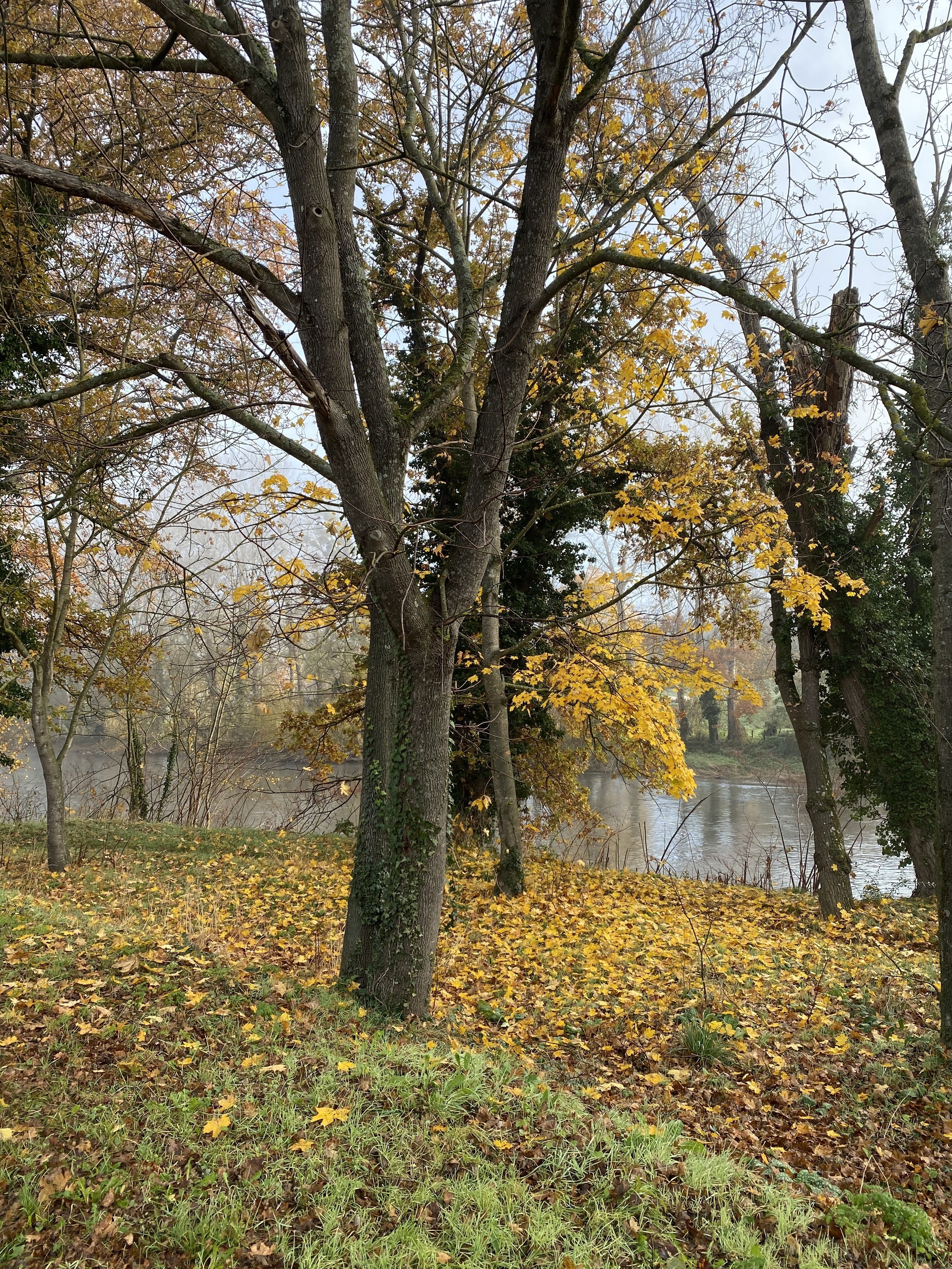 Automne